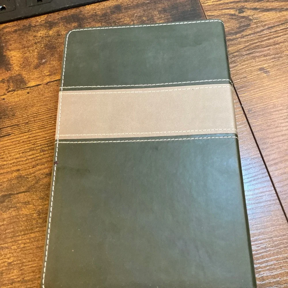 The Family Wins NIV New Testament Devotional LeatherLike Cypress Dune Bible 2020